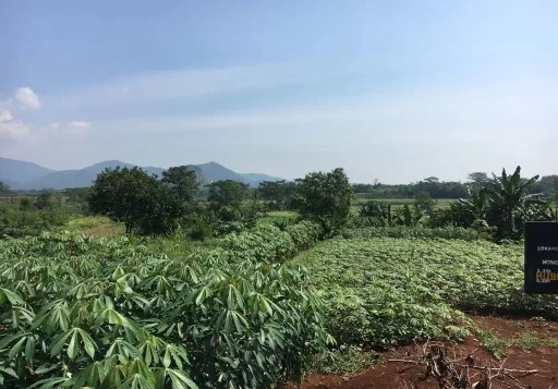 Tanah di Putat Nutug, Ciseeng, Bogor, Jawa Barat -T-0108