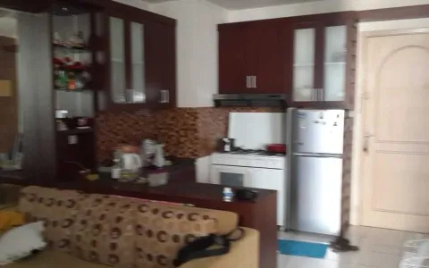 Apartemen Paladian Park Tower A Full Furnished -A-0050