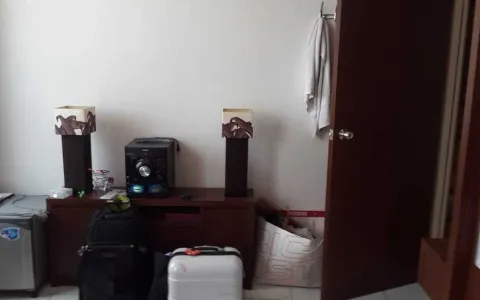 Apartemen Paladian Park Tower A Full Furnished -A-0050