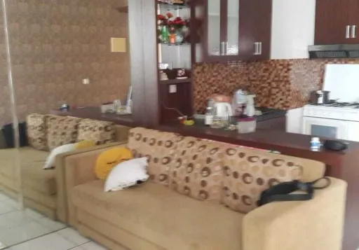 Apartemen Paladian Park Tower A Full Furnished -A-0050