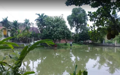 Lahan Kolam Pancing Mekatani Patumbak Masih Aktif -T-0091