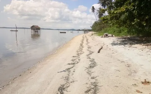 Kavling Bintan Kepulauan Riau  Sudah Ada Bangunan-T-0098