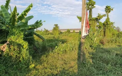 Tanah dari Jl.Besar Hamparan Perak ke marelan,Deli Serdang