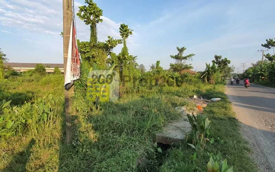 Tanah dari Jl.Besar Hamparan Perak ke marelan,Deli Serdang