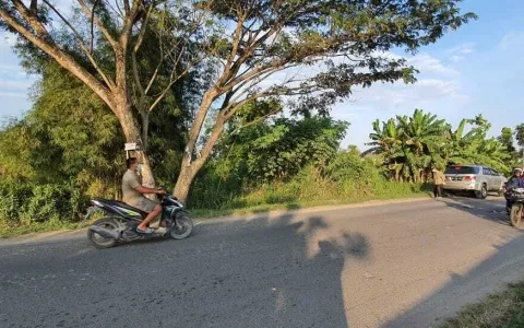 Tanah dari Jl.Besar Hamparan Perak ke marelan,Deli Serdang