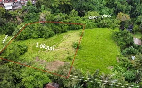 Dijual Tanah di Lot tunduh, Ubud,Gianyar, Bali-T-0154