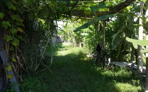 Dijual Tanah Jl.Sekuta, Sanur, Denpasar Bali -T-0159