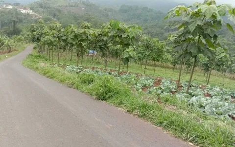 Dijual Tanah / Kebun, Desa Cipasung, Majalengka, Jawa Barat