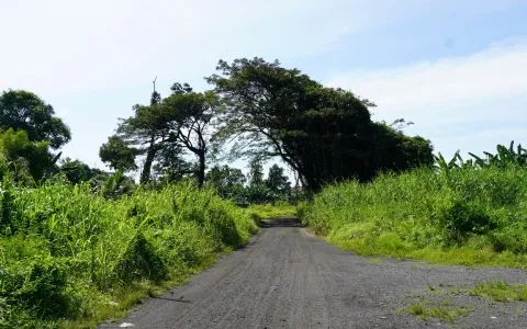 Dijual Tanah Lokasi Strategis Jl. Kol.yos Sudarso, Mabar, Medan