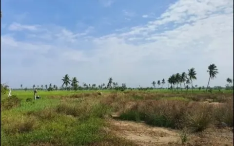 Tanah dijual dilokasi Pangkalan Susu, dekat Aek teluk kiri, Asahan