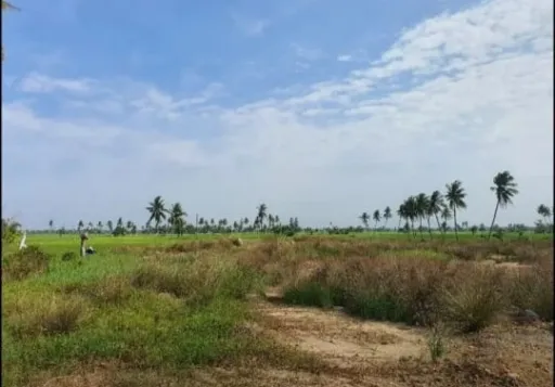 Tanah dijual dilokasi Pangkalan Susu, dekat Aek teluk kiri, Asahan