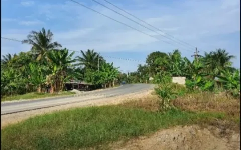 Tanah dijual dilokasi Pangkalan Susu, dekat Aek teluk kiri, Asahan