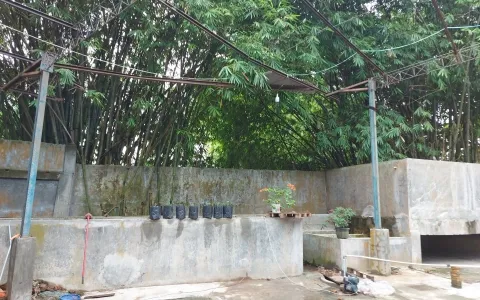 Dijual & Sewa  Gudang Jl. Protokol, Klambir V, Hamparan Perak, Deli Serdang