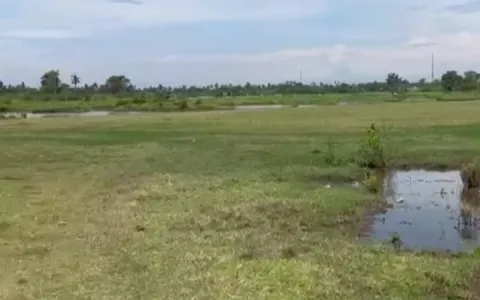 Dijual Tanah Jl. Besar Hamparan Perak, Klumpang, Deli Serdang