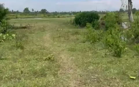 Dijual Tanah Jl. Besar Hamparan Perak, Klumpang, Deli Serdang