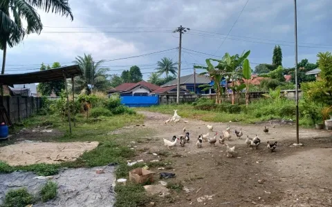 Dijual Gudang Jl. Yos Sudarso, Binjai Utara, sudah pagar keliling