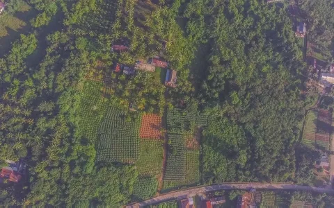 Di Jual Tanah Soak Simpur Jl. Mayor H.M. Noerdin Pandji Kebun Sayur, Soak Simpur Sukajaya, Sukarami Palembang