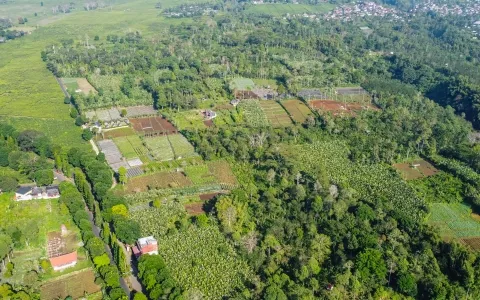 Dijual Tanah Pagar Alam, Jl. Laskar Wanita Mentarjo Gunung Gare, Dempo Makmur Pagar Alam Utara, Palembang