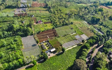 Dijual Tanah Pagar Alam, Jl. Laskar Wanita Mentarjo Gunung Gare, Dempo Makmur Pagar Alam Utara, Palembang