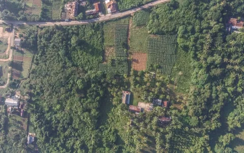 Di Jual Tanah Soak Simpur Jl. Mayor H.M. Noerdin Pandji Kebun Sayur, Soak Simpur Sukajaya, Sukarami Palembang