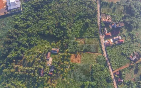 Di Jual Tanah Soak Simpur Jl. Mayor H.M. Noerdin Pandji Kebun Sayur, Soak Simpur Sukajaya, Sukarami Palembang