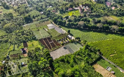 Dijual Tanah Pagar Alam, Jl. Laskar Wanita Mentarjo Gunung Gare, Dempo Makmur Pagar Alam Utara, Palembang
