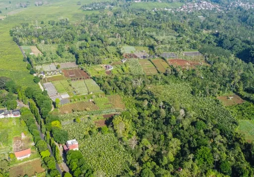 Dijual Tanah Pagar Alam, Jl. Laskar Wanita Mentarjo Gunung Gare, Dempo Makmur Pagar Alam Utara, Palembang