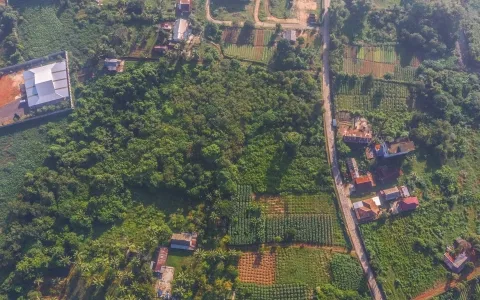 Di Jual Tanah Soak Simpur Jl. Mayor H.M. Noerdin Pandji Kebun Sayur, Soak Simpur Sukajaya, Sukarami Palembang
