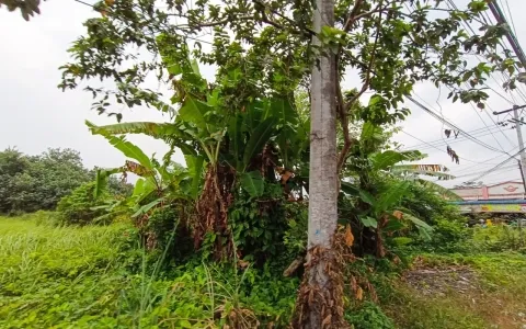 Dijual Tanah Jl. Bajak, Harjosari, Medan Amplas