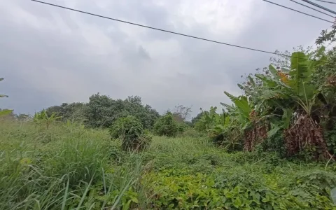 Dijual Tanah Jl. Bajak, Harjosari, Medan Amplas